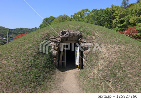 善通寺市の有岡古墳群の宮が尾古墳 善通寺市の有岡古墳群の宮が尾古墳 125927260