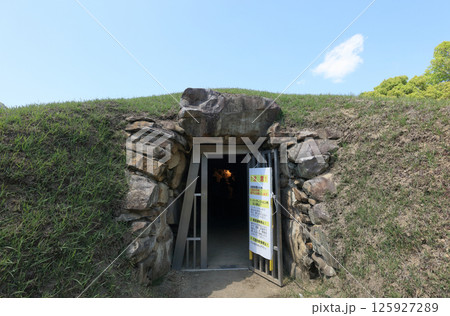 善通寺市の有岡古墳群の宮が尾古墳 125927289