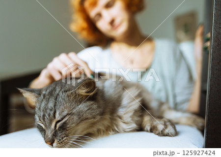 domestic cat grooming 125927424