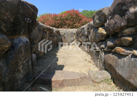 善通寺市の有岡古墳群の宮が尾古墳の2号墳、羨道から玄室を見る 125927451