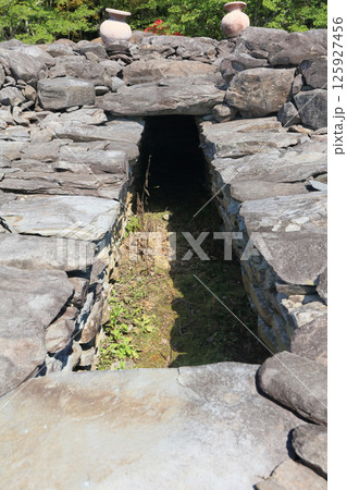 善通寺市の有岡古墳群のうち大麻山中腹に築かれた野田院古墳の墳丘上の埋葬施設 125927456
