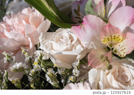 Delicate white and pink flowers in soft sunlight showcasing roses, carnations, and alstroemeria Delicate white and pink flowers in soft sunlight showcasing roses, carnations, and alstroemeria 125927619