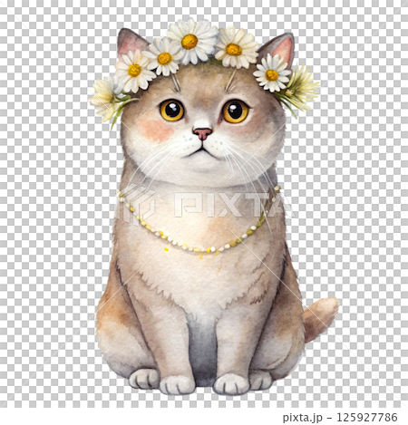 world's cutest Cat Full body breeds flower crowns 125927786