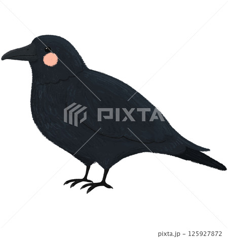 手描きの可愛いカラスのイラスト 125927872