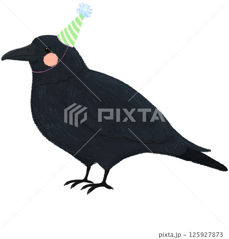 パーティーの帽子を被った手描きの可愛いカラスのイラスト パーティーの帽子を被った手描きの可愛いカラスのイラスト 125927873
