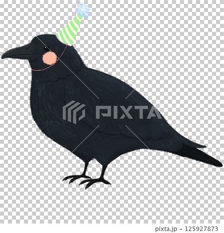 パーティーの帽子を被った手描きの可愛いカラスのイラスト パーティーの帽子を被った手描きの可愛いカラスのイラスト 125927873