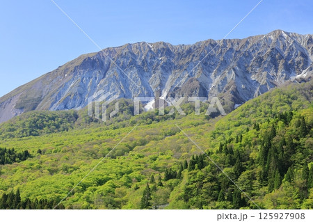 新緑の鍵掛峠から望む大山 2 新緑の鍵掛峠から望む大山 2 125927908