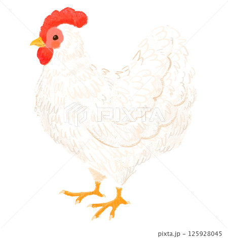 手描きの可愛いニワトリのイラスト 125928045