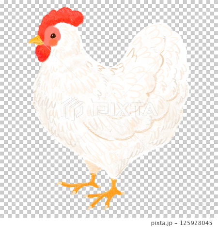 手描きの可愛いニワトリのイラスト 125928045