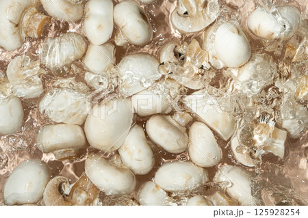 Raw White Mushrooms Champignons Close-Up Splash in a Water Top View Raw White Mushrooms Champignons Close-Up Splash in a Water Top View 125928254