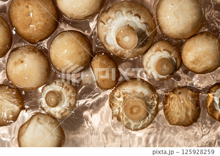 Organic Cremini Mushrooms Brown Champignons in a Water Splash Organic Cremini Mushrooms Brown Champignons in a Water Splash 125928259