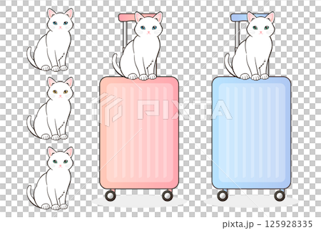 猫とキャリーケース 125928335