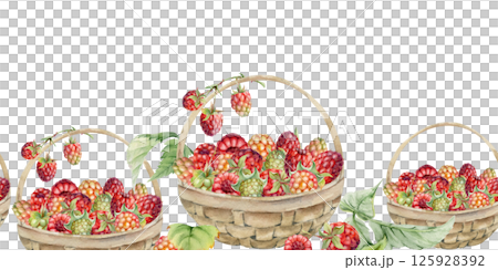 Raspberry with leaves in weaved basket, hand drawn in watercolor, scattered ripe picked forest garden berry harvest. Isolated seamless banner. Dessert menu, cookbook, craft farmers market, gardening Raspberry with leaves in weaved basket, hand drawn in watercolor, scattered ripe picked forest garden berry harvest. Isolated seamless banner. Dessert menu, cookbook, craft farmers market, gardening 125928392