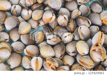 background with fresh shells and clams. A shellfish mussels stall at the seafood market in Asia in close-up 125929061