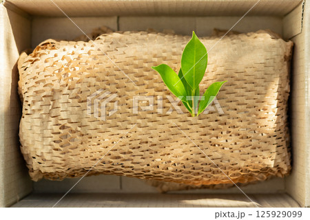 Green leaf on eco friendly brown paper honeycomb wrap for product packaging parcel carton box 125929099