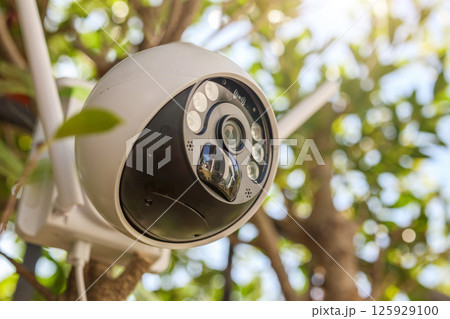 Security IP CCTV camera using solar energy install on the tree for home security system 125929100