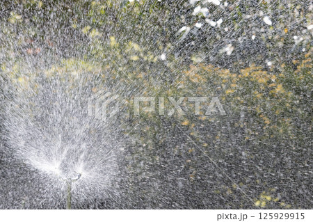 公園にある水巻ホース 公園にある水巻ホース 125929915