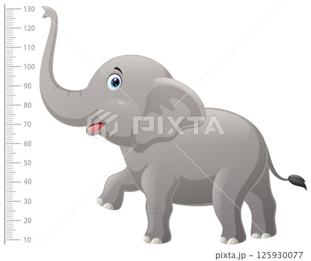 Kids height chart with cute elephant cartoon 125930077