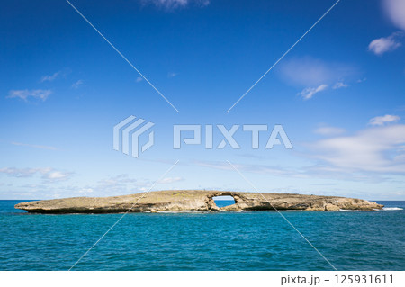 晴天のライエポイント 125931611