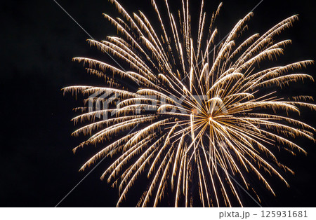 夜空に広がる花火 125931681