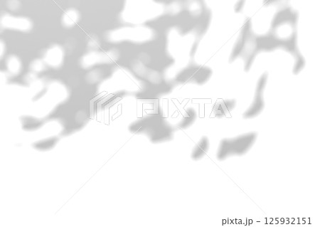 Tree branch shadow. Tree leaves shadow overlay. Summer sunlight trough the leaves. Nature organic shadow. Blurred Leaf shadow and light on wall background. 3d rendering 125932151