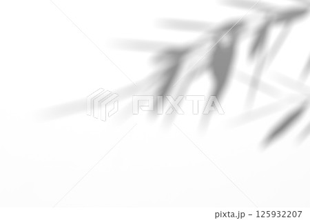 Willow branch shadow. Tree leaves shadow overlay. Sunlight trough the leaves. Nature organic shadow. Blurred Leaf shadow and light on wall background. 3d rendering 125932207