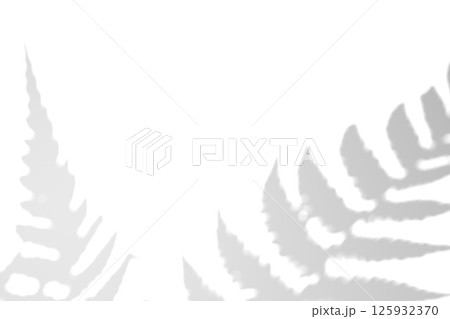 Fern branch shadow. Leaf shadow overlay. Sunlight trough the leaf. Nature organic shadow. Blurred Leaf shadow and light on wall background. 3d rendering Fern branch shadow. Leaf shadow overlay. Sunlight trough the leaf. Nature organic shadow. Blurred Leaf shadow and light on wall background. 3d rendering 125932370