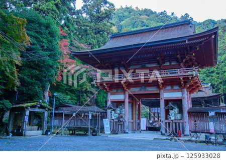 秋の日吉大社　西本宮の楼門 125933028