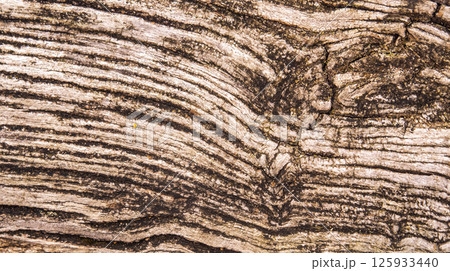 Wood Textured Background Wood Textured Background 125933440