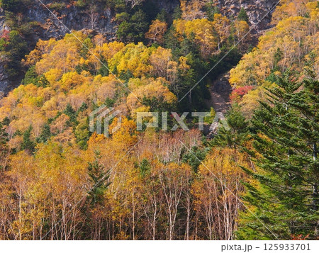 八ヶ岳の紅葉 八ヶ岳の紅葉 125933701