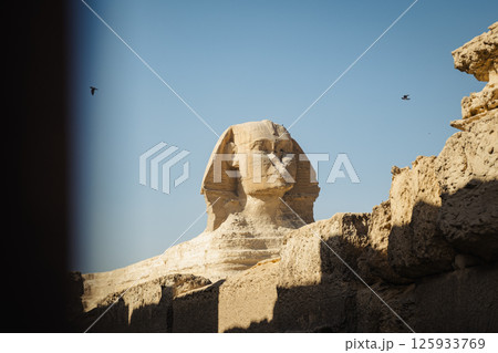 The Great Sphinx of Giza. Giza grand pyramids. Cairo, Ciza, Egypt.  125933769