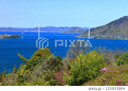 【愛媛県】桜咲く春の伯方島開山公園と多々羅大橋(しまなみ海道) 【愛媛県】桜咲く春の伯方島開山公園と多々羅大橋(しまなみ海道) 125933864