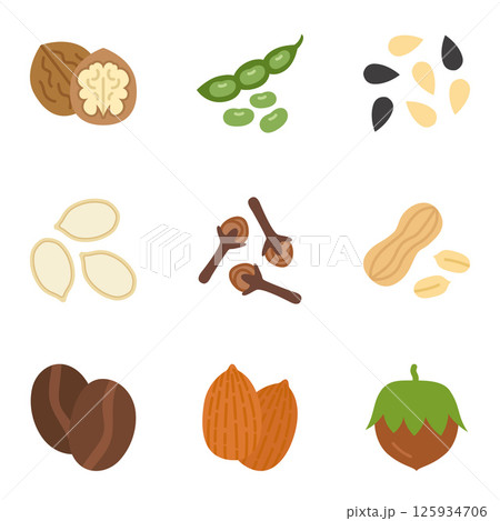 Collection of featuring various nuts, seeds, legumes, and spices. Vector illustration Collection of featuring various nuts, seeds, legumes, and spices. Vector illustration 125934706