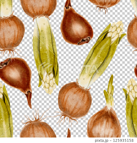Flower bulb with green leaves and bud and roots seamless pattern. Watercolor illustration is suitable for topics related to ecology, gardening, nature. Onions, a spice for cooking. Flower bulb with green leaves and bud and roots seamless pattern. Watercolor illustration is suitable for topics related to ecology, gardening, nature. Onions, a spice for cooking. 125935158