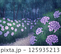 紫陽花の道(雨) 125935213