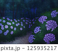 紫陽花の道(夜) 125935217