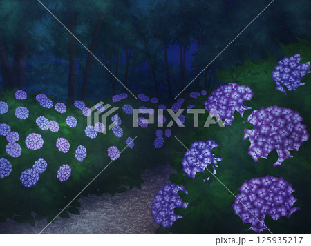 紫陽花の道(夜) 紫陽花の道(夜) 125935217