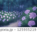紫陽花の道(曇り) 125935219