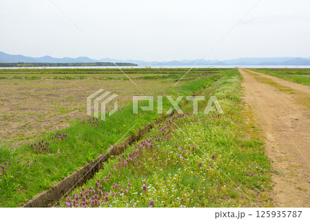 猪苗代湖 猪苗代湖 125935787