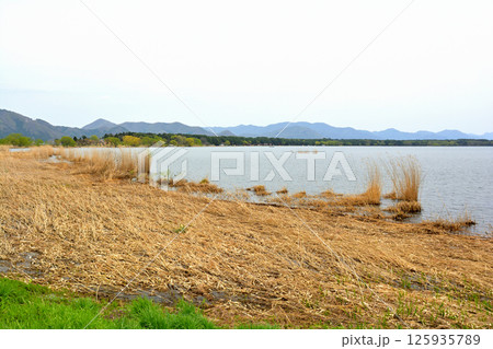 猪苗代湖 125935789