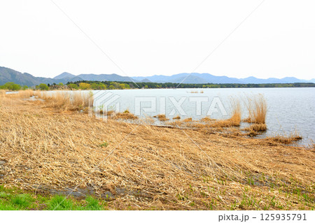 猪苗代湖 125935791
