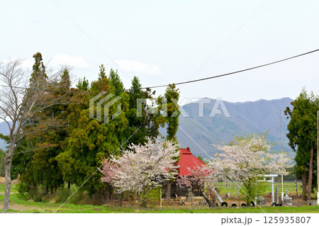 猪苗代湖畔 125935807