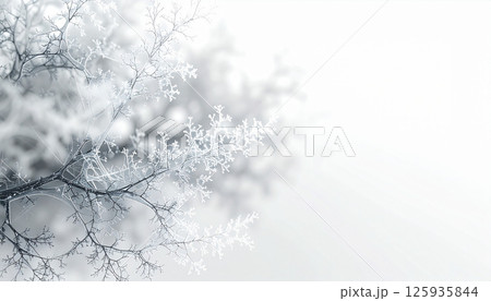 白銀の枝が広がる幻想的な冬の構図 125935844