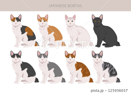 Japanese bobtail cat clipart. All cat breeds characteristics infographic Japanese bobtail cat clipart. All cat breeds characteristics infographic 125936037