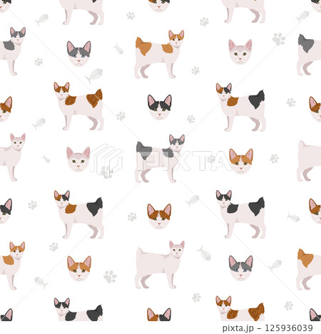 Japanese bobtail cat seamless pattern. All cat breeds characteristics infographic Japanese bobtail cat seamless pattern. All cat breeds characteristics infographic 125936039