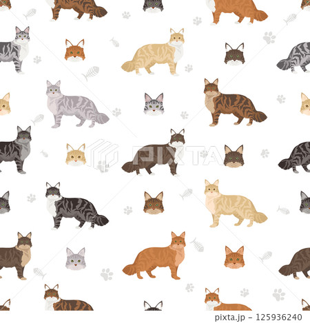 Norwegian Forest Cat clipart. All coat colors set.  All cat breeds characteristics infographic 125936240