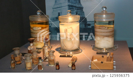 野口英世記念館　野口英世　猪苗代湖　猪苗代　野口英世御生家　猪苗代町　野口英世記念碑　囲炉裏 125936375