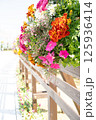 晴れの日のハンギングバスケットの花 125936414