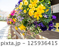 晴れた日のハンギングバスケットの花 125936415