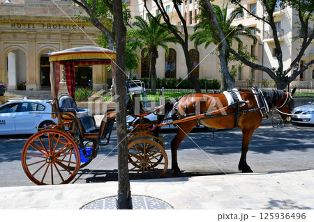 マルタ共和国、マルタ島、フロリアナ、観光馬車 125936496